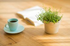 Table With A Coffee Cup Book And Small Potted Plant