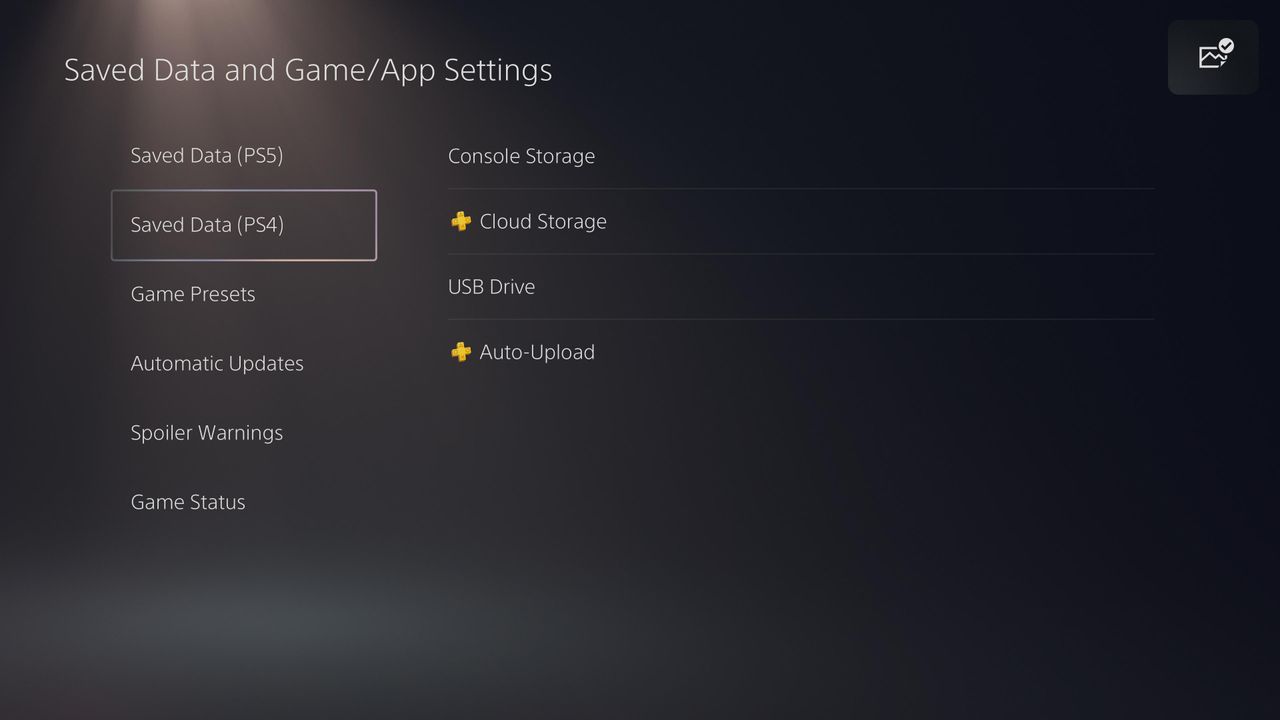 PS5 storage