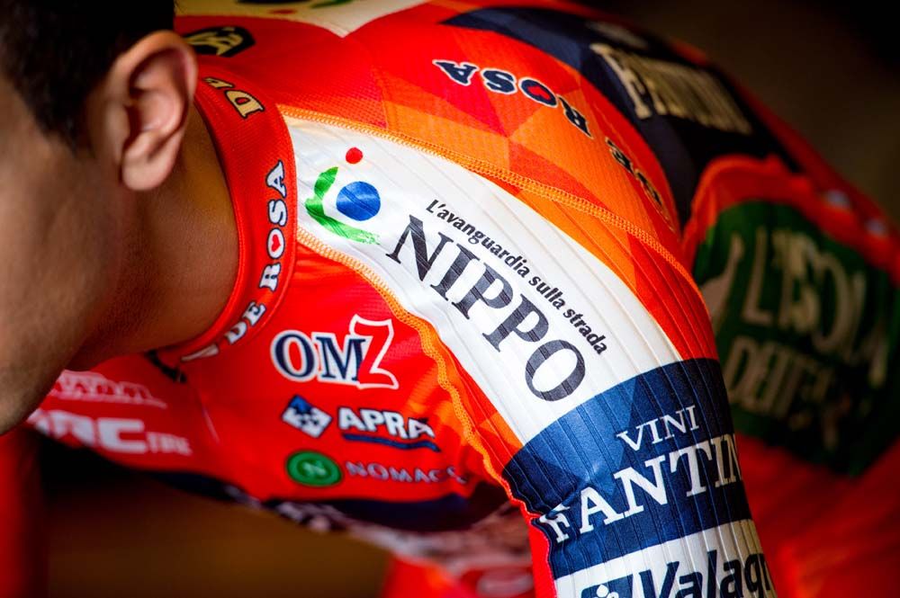 The shoulder of the Nippo-Vini Fantini jersey
