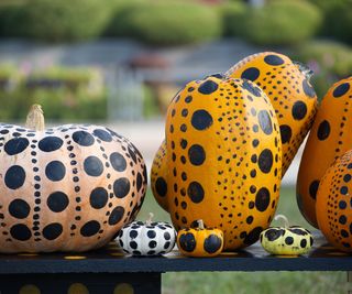 polka dot painted pumpkin display