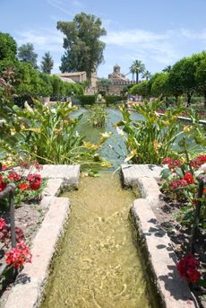 Islamic Garden Landscape With A Water Feature And Plants