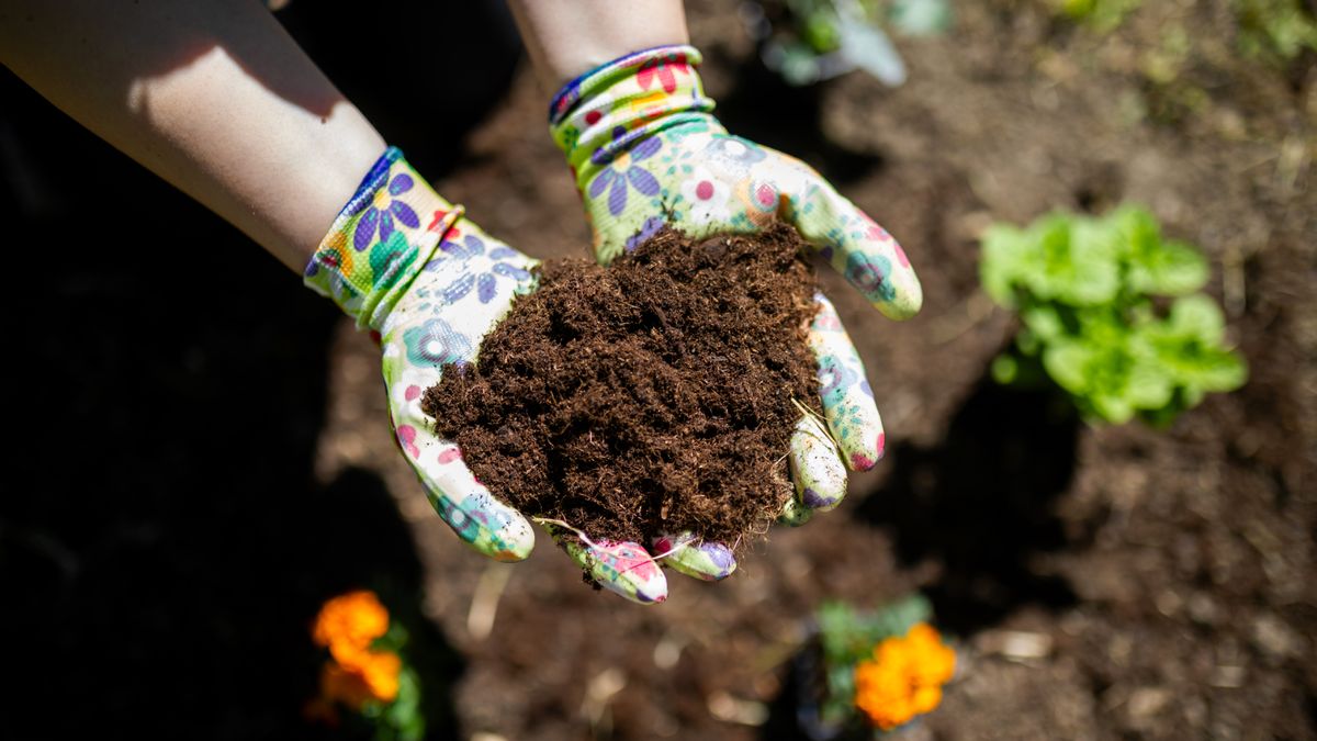 You Can Now Be Composted and Returned to Your Garden as Soil – the End-Of-Life Care Option That’s Appealing to Gardeners