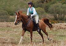 Lucy-horseshoe.JPG