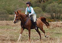Lucy-horseshoe.JPG