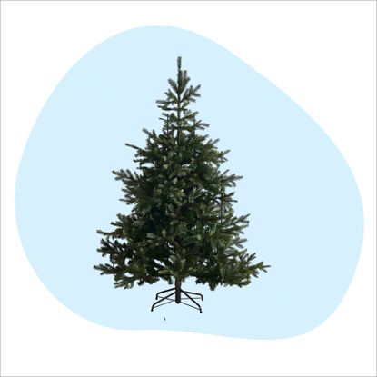 The White Company 6ft Grand Spruce Christmas tree on a white and blue background