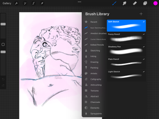 A screenshot of the brush library on Procreate