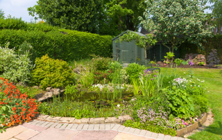 Garden with a circular pond surrounded by and filled with plants