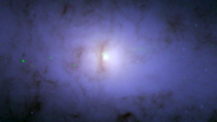 Hubble Space Telescope image of galaxy NGC 5084’s core. A dark, vertical line near the center shows the curve of a dusty disk orbiting the core, whose presence suggests a supermassive black hole within. The disk and black hole share the same orientation, fully tipped over from the horizontal orientation of the galaxy.