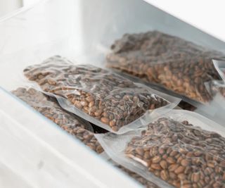Bags of coffee beans in the freezer