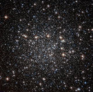 A globular cluster called NGC 4833 houses hundreds of thousands of stars that are tightly packed together. This particular star cluster is located 22,000 light-years from Earth, in the constellation of Musca (The Fly). This image, taken by the Hubble Spac
