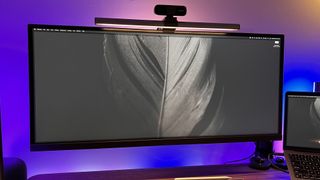 BenQ PD3420Q Monitor displaying a close-up of a feather in an office with backlighting