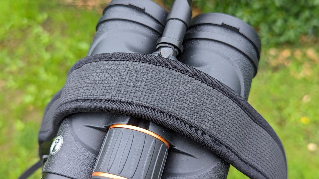 Binoculars with green foliage backdrop