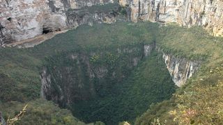 A very large sinkhole covered in trees with cliffs at the back