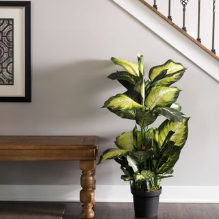 40" Artificial Green and White Dieffenbachia