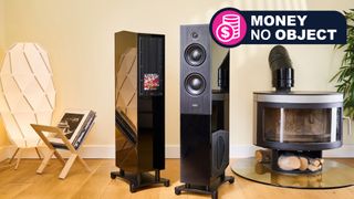 Avid EVO TWO speakers in a living room near some records and a fireplace. A badge reads 'Money No Object'