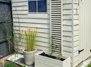 A white shed with a flower planter box and a vertical slatted climbing frame for plants