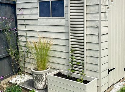 A white shed with a flower planter box and a vertical slatted climbing frame for plants