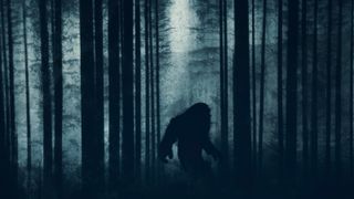 A mysterious bigfoot figure, walking through a forest. Silhouetted against trees in a forest. With a grunge, textured edit.