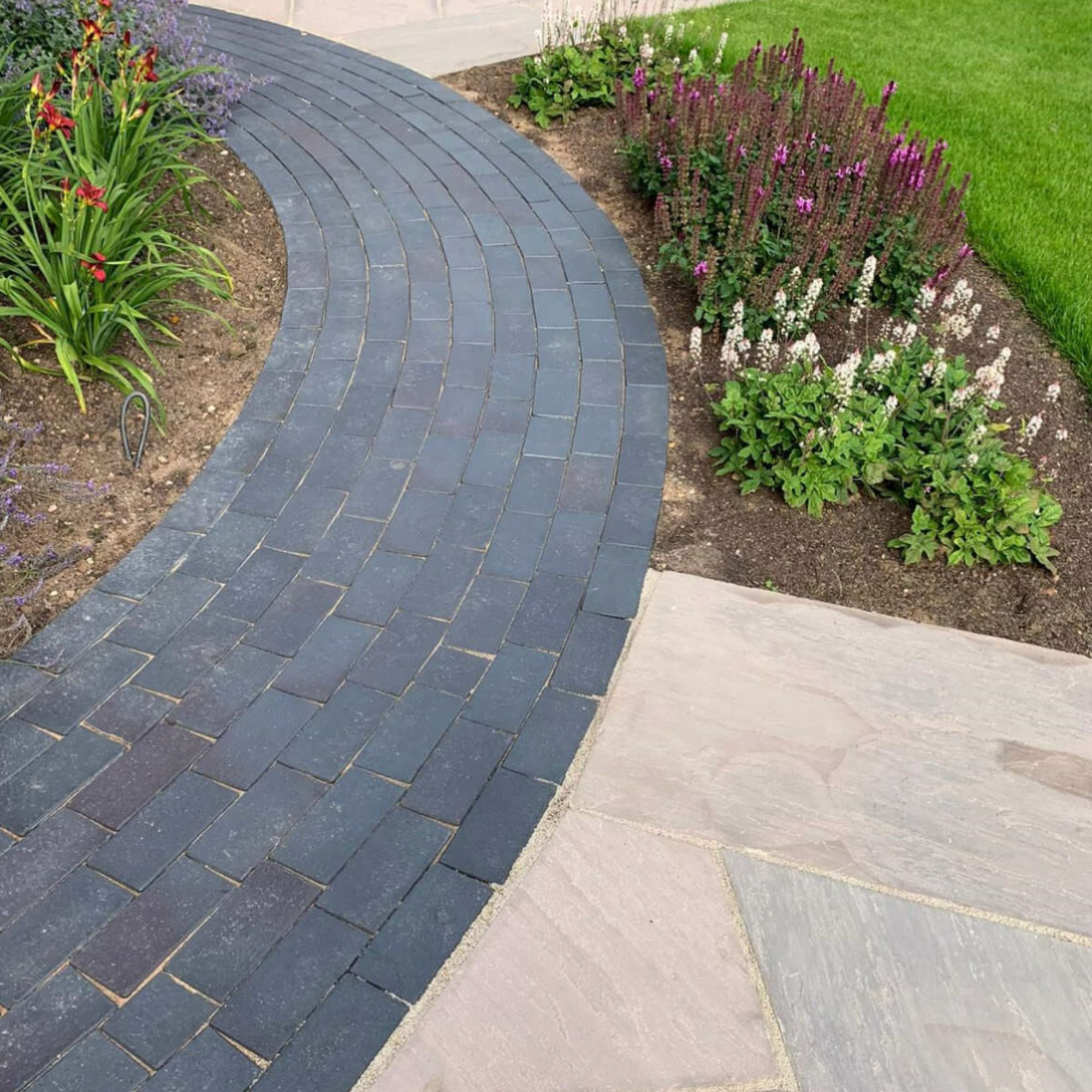 garden area with plants and rocks