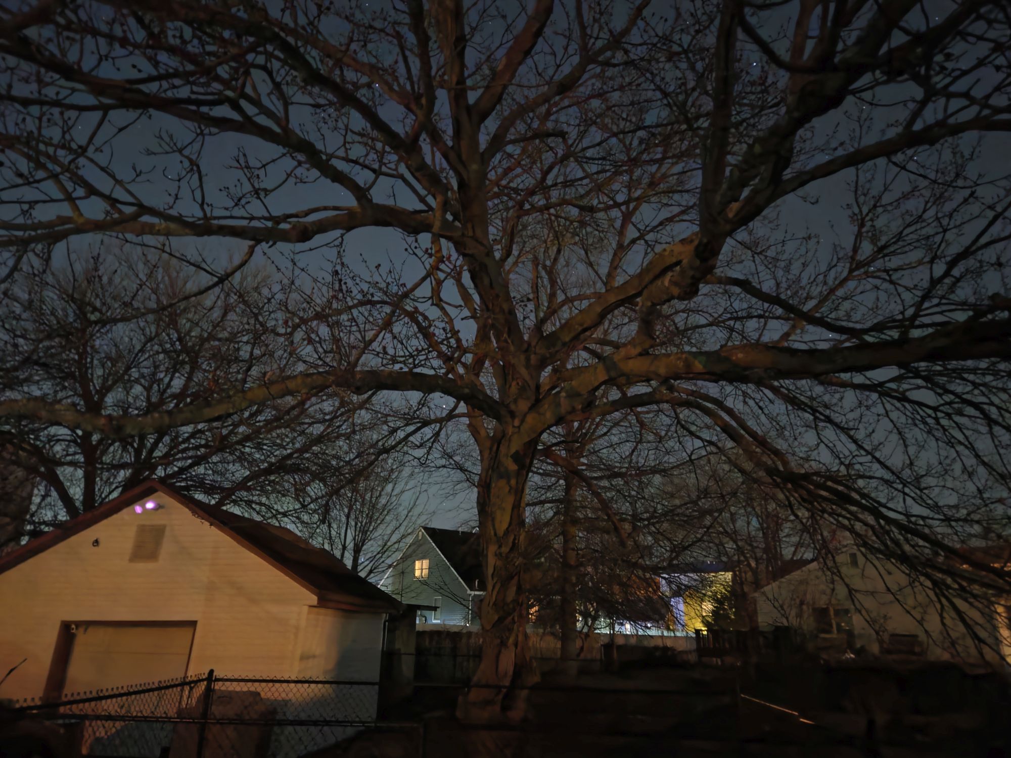 Samsung Galaxy S26 camera sample.