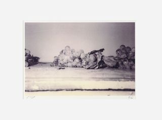 Polaroid of grapes by Cy Twombly
