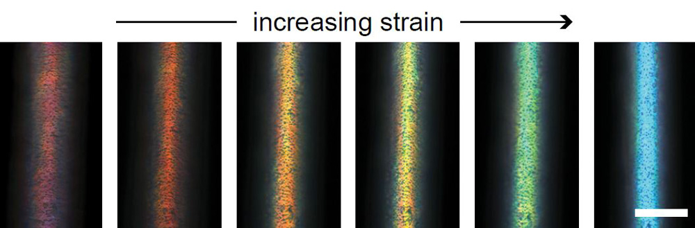 Magnified view of a fiber, showing changes in color as it is pulled.