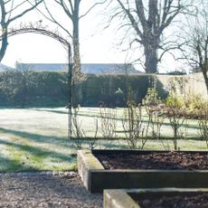 raised beds on winter morning