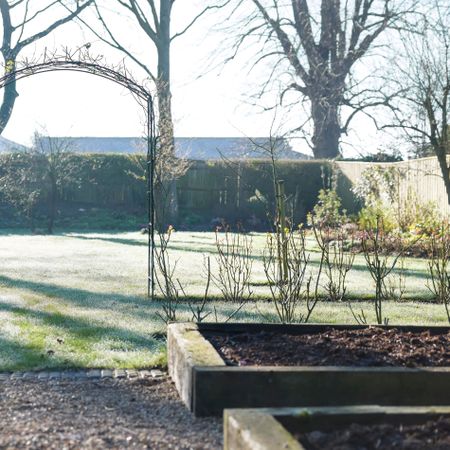 raised beds on winter morning