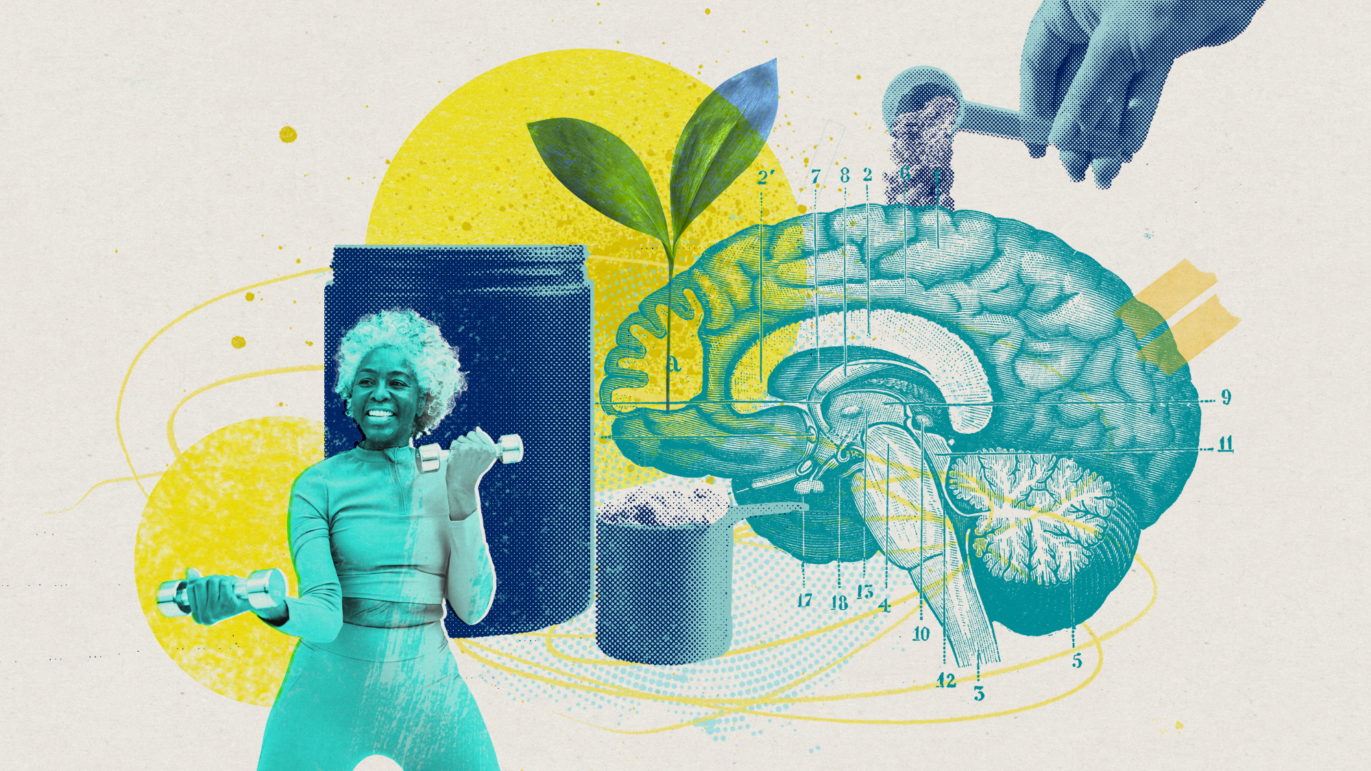 A collage of images including a woman lifting hand weights, a plant growing, and a scoop of powder being poured onto an illustration of a brain