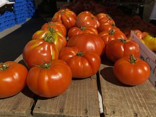 Tomatoes