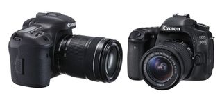 Canon's new camera could be a successor to the EOS 7D Mark II (left) or 80D – or it could be merge both lines into one