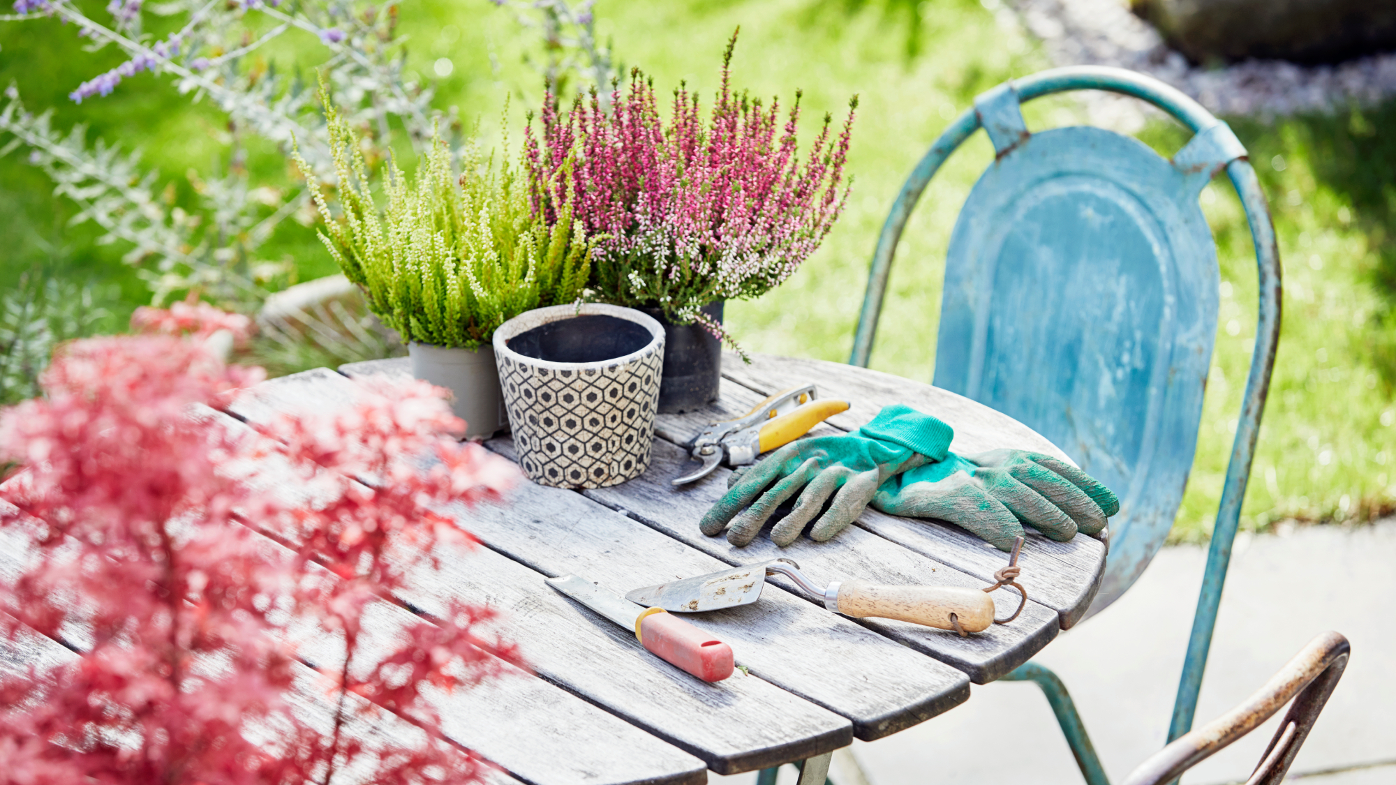 patio table with gardening tools and plants on it