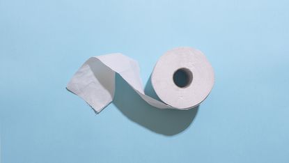 Where to buy toilet paper
