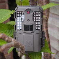 Bushnell Prime L20 Low Glow