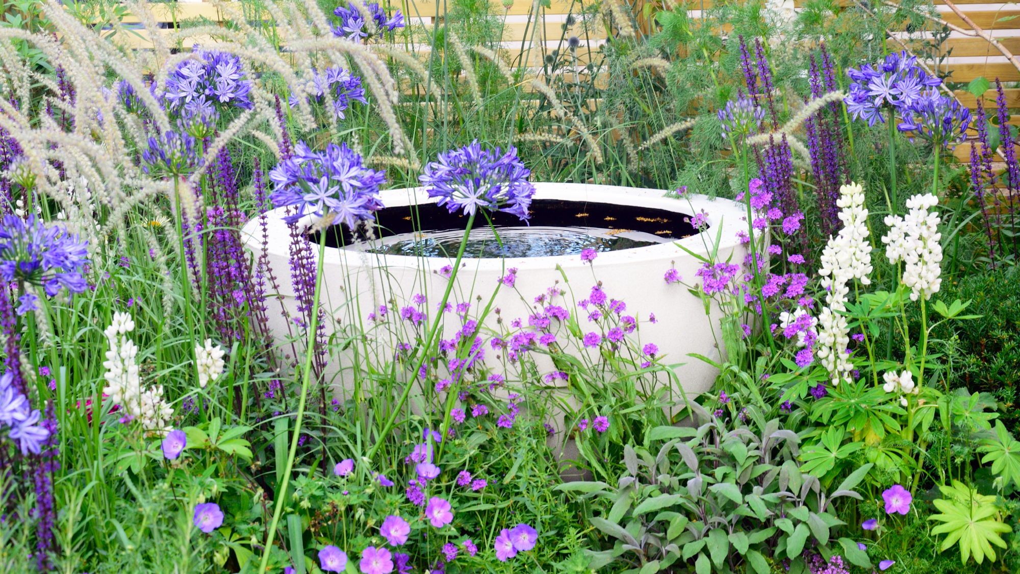 micropond or small pond in a container in a garden border