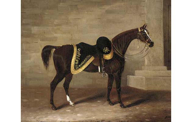 Copenhagen_(Wellington's_horse)