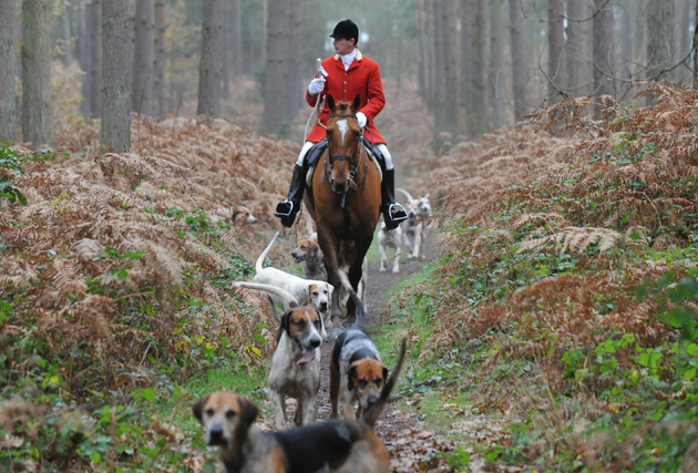 Surrey Union Hunt 04 12 2014