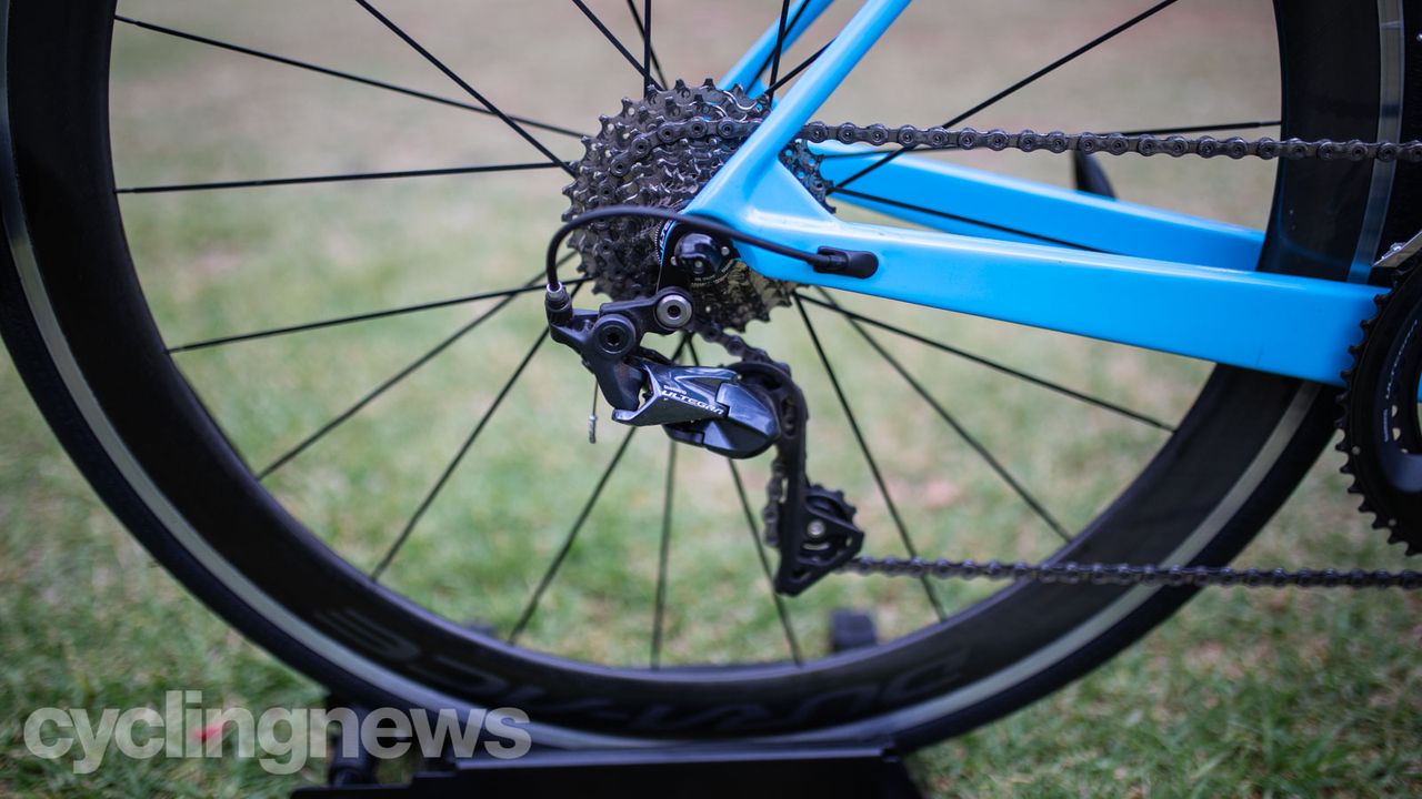 Shimano neutral support
