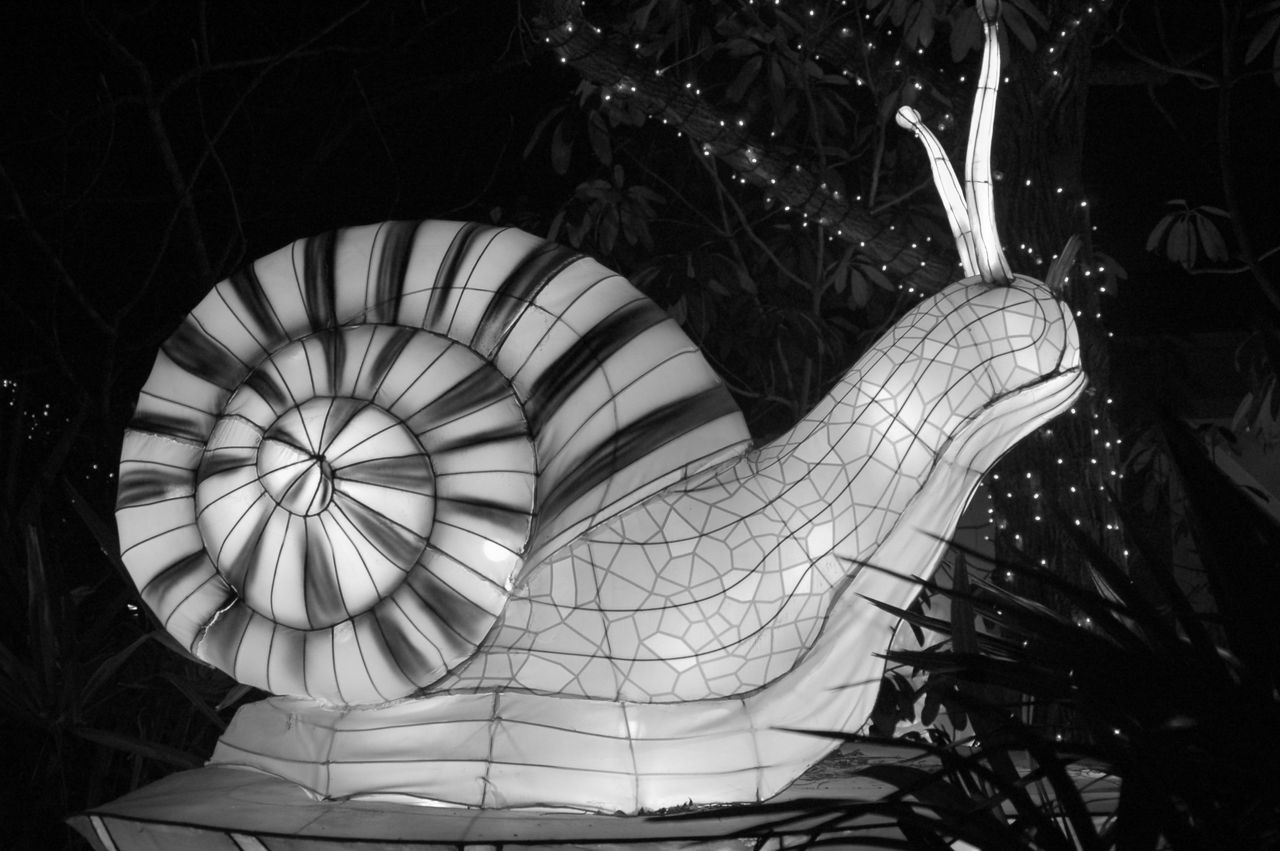 GuruShots - Monochrome Moments Jan 26