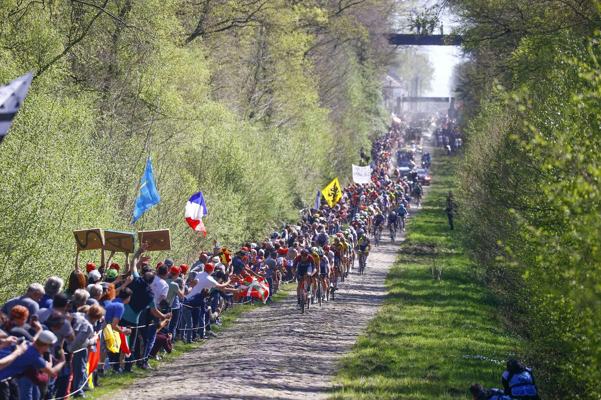 Paris Roubaix 2022 - 119th Edition - Compiegne - Roubaix 257.2 km - 17/04/2022 - Scenery - Foret D&acirc;Aremberg - photo Luca Bettini/SprintCyclingAgency&Acirc;&copy;2022