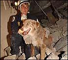 55919965-4C5C-4A27-BE7F-41AD33BAD34B.jpg