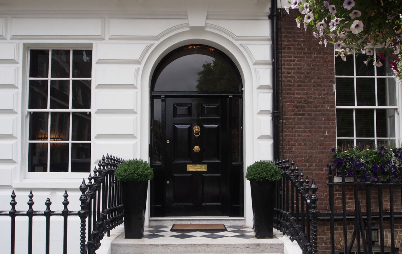 Glossy black front door surrounded by foliage