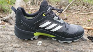 Adidas Terrex Swift R3 Gore-Tex Hiking Shoe