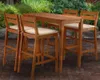 Union Rustic Channing Rectangular Bar Height Dining Set with Cushions
