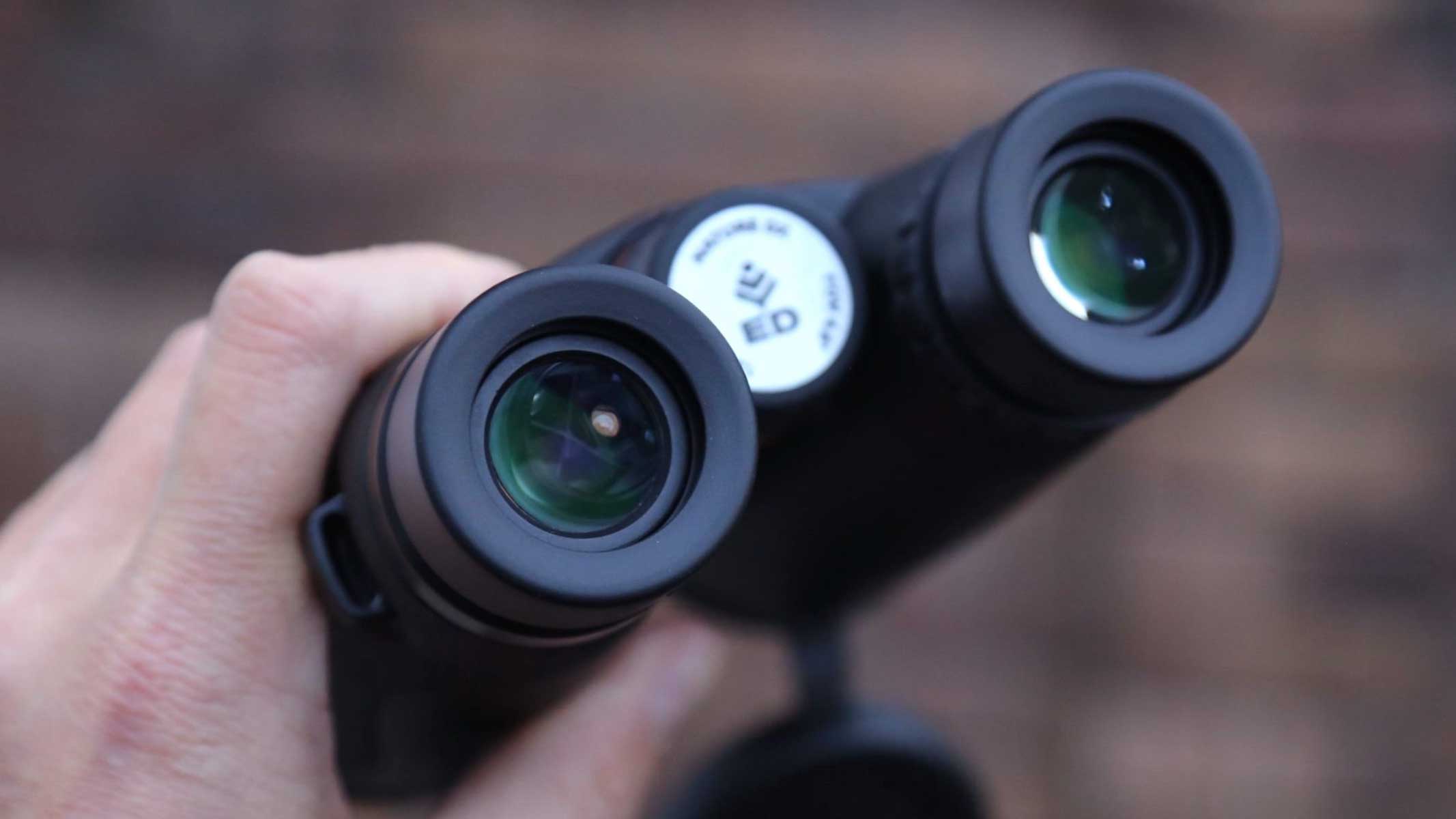 Celestron Nature DX ED 12x50 binoculars