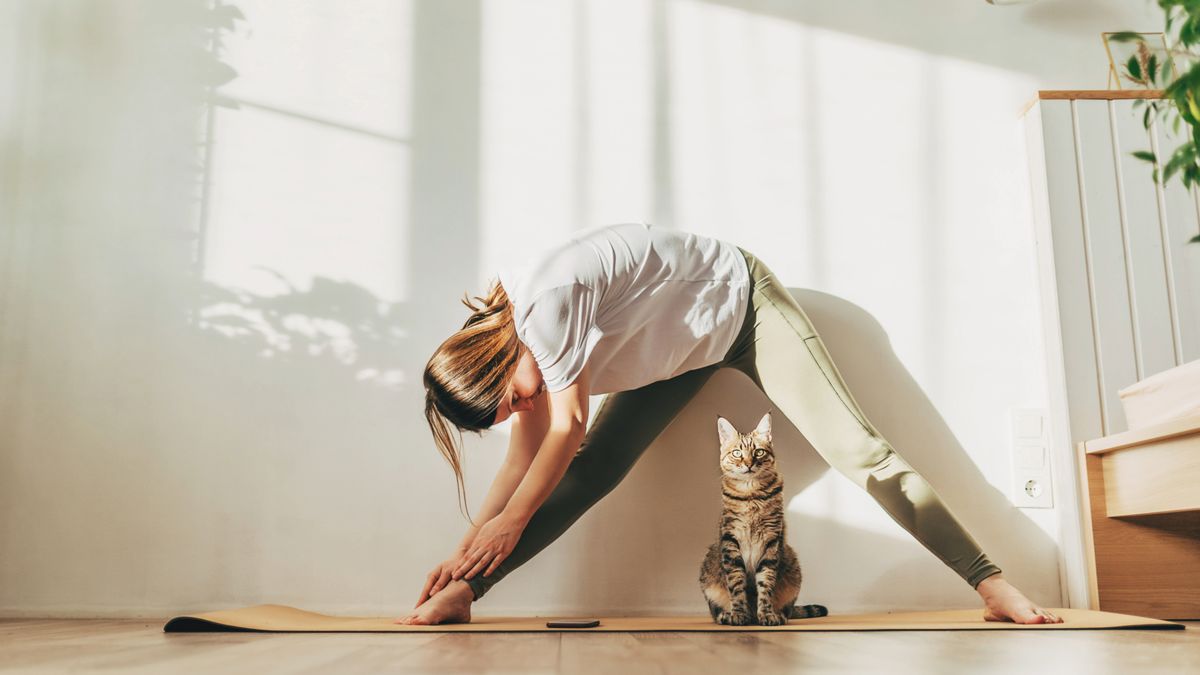 Woman stretching on a yoga mat with a cat underneath her