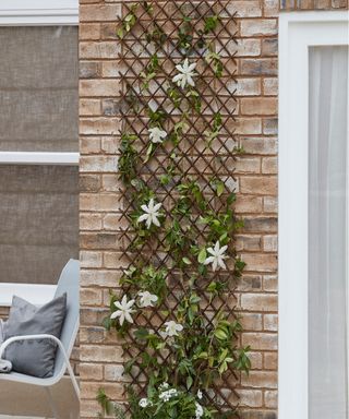 A trellis with a flowering plant on a bare brick wall facing a patio with garden seating