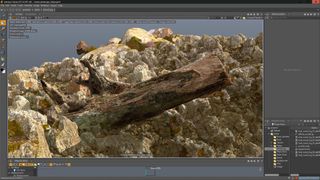 Set up textures on the tree trunk using PBR shading