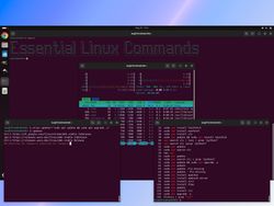 Linux Terminal