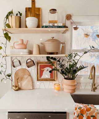 Personality packed kitchen with calming coral accents, shapely wood boards, houseplants, and styled open shelves with modern cookware and ceramics, and cockatoo print.